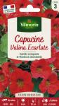 Fleurs - Capucine Valina Écarlate - PACKAGING_RECTO
